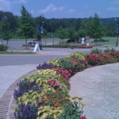 flower bed at a commercial site