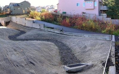 WHAT IS A BIOSWALE, AND CAN IT HELP GEORGIA?