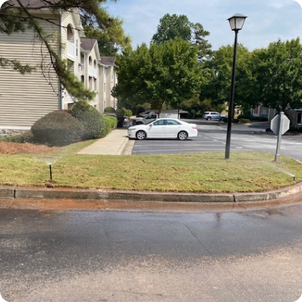 Existing Landscaping