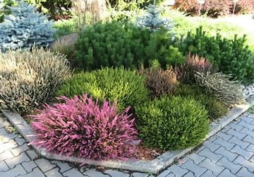 LANDSCAPING WITH GLASS MULCHES