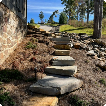 Landscape Redesign