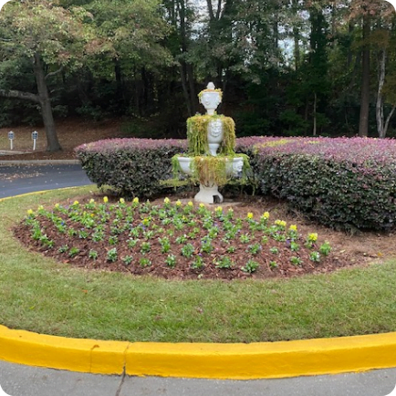 Tree Shrub Trimming Pruning Tree Shrub Trimming Pruning