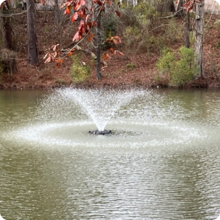 Water Features