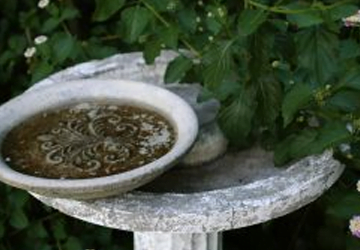 ADD CHARM AND CALM TO YOUR GARDEN WITH A SMALL FOUNTAIN